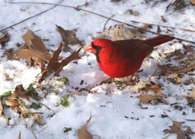 Helen Anderson Photography